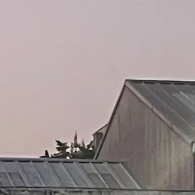 Profile image of 수현