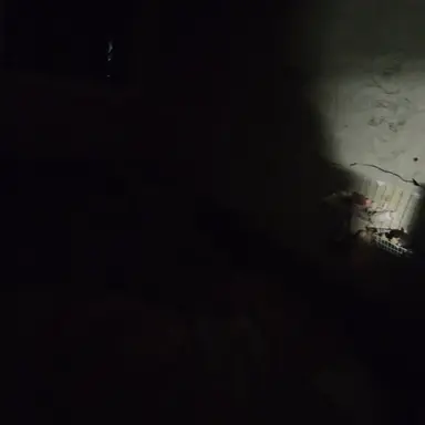 Profile image of 여우