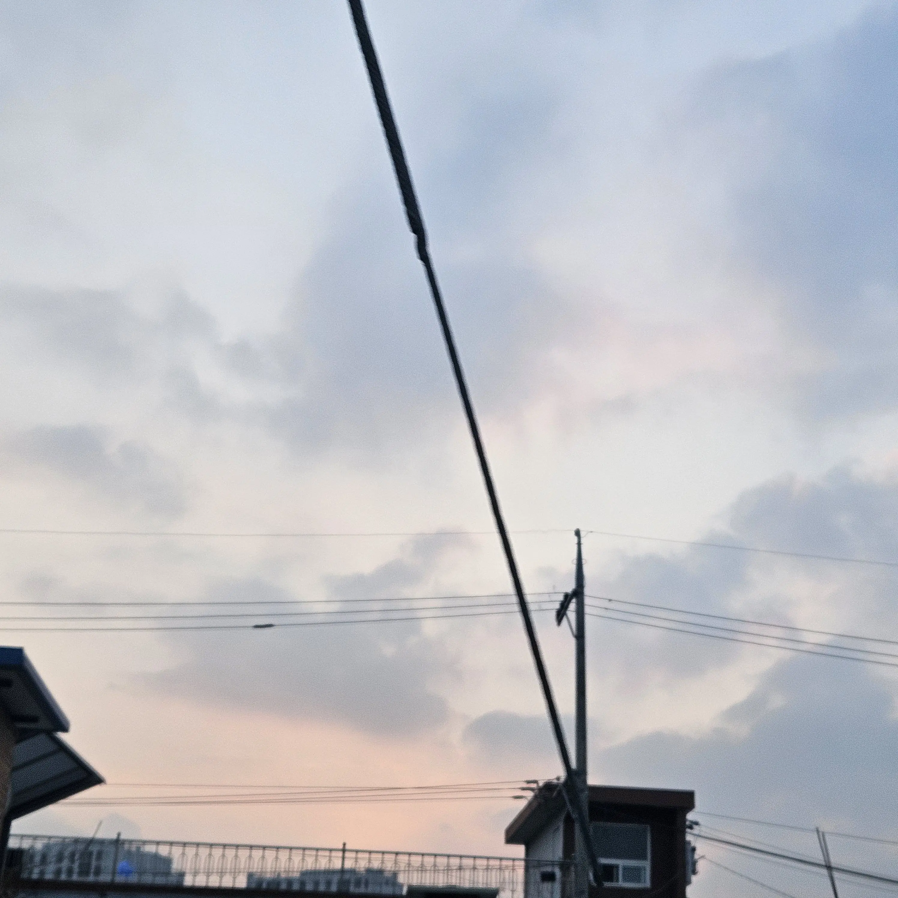 ToughLiver2641의 오비스트들