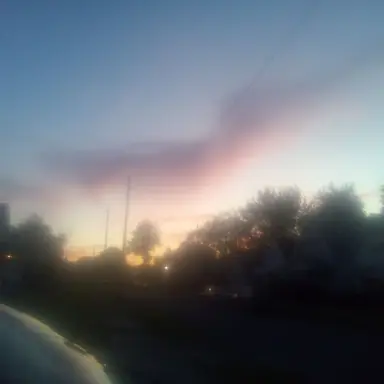 Profile image of Marcus Chen