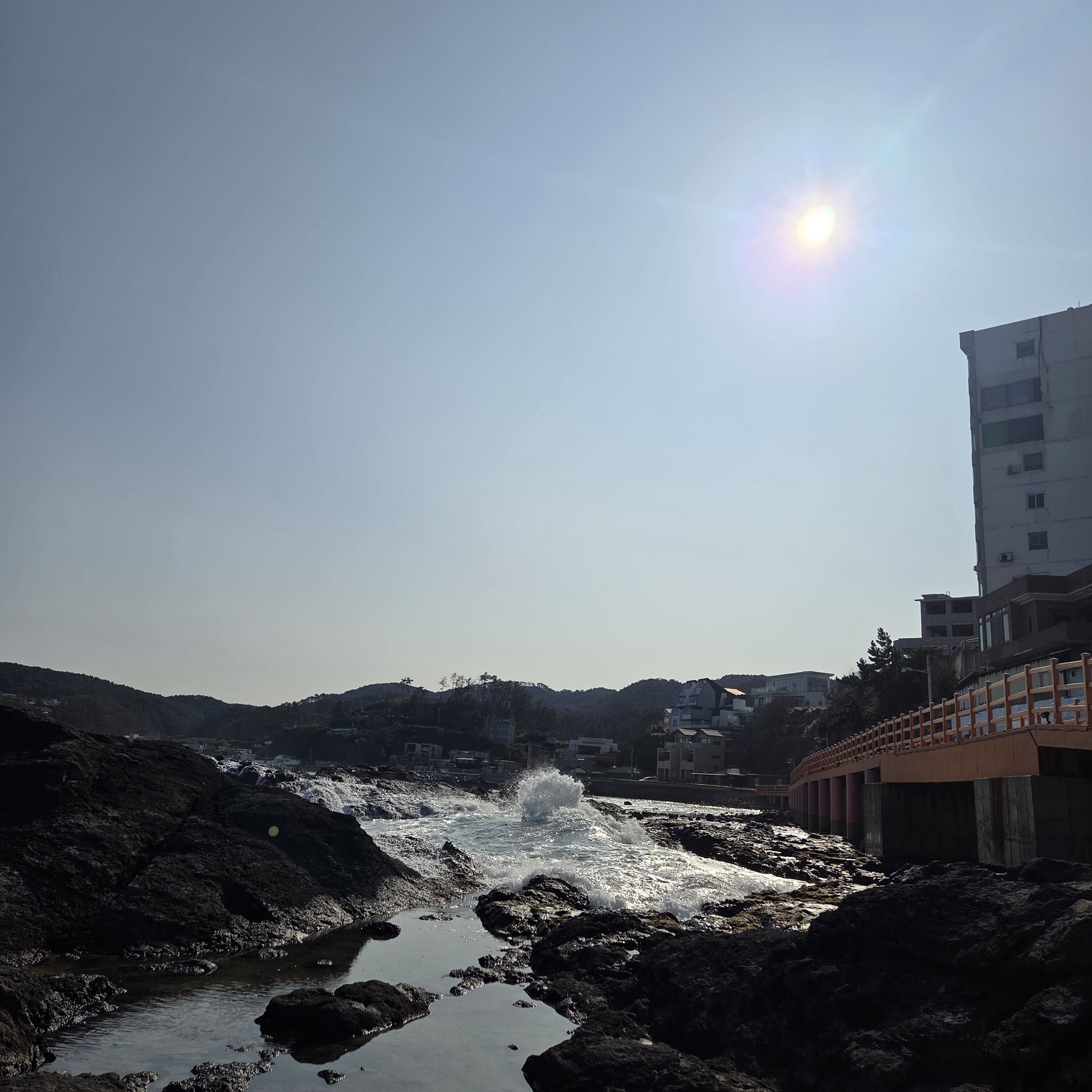 고고프렌즈 정신병원 대표 이미지