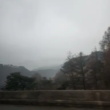 Profile image of 권지용