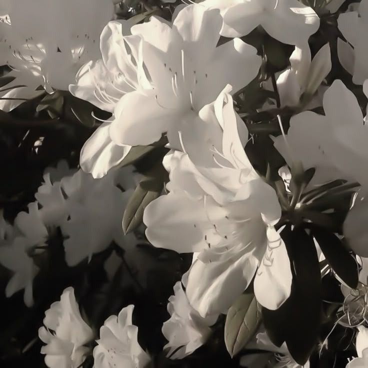 Reiichi Tanaami. 대표 이미지
