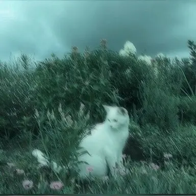 Profile image of 텐비스