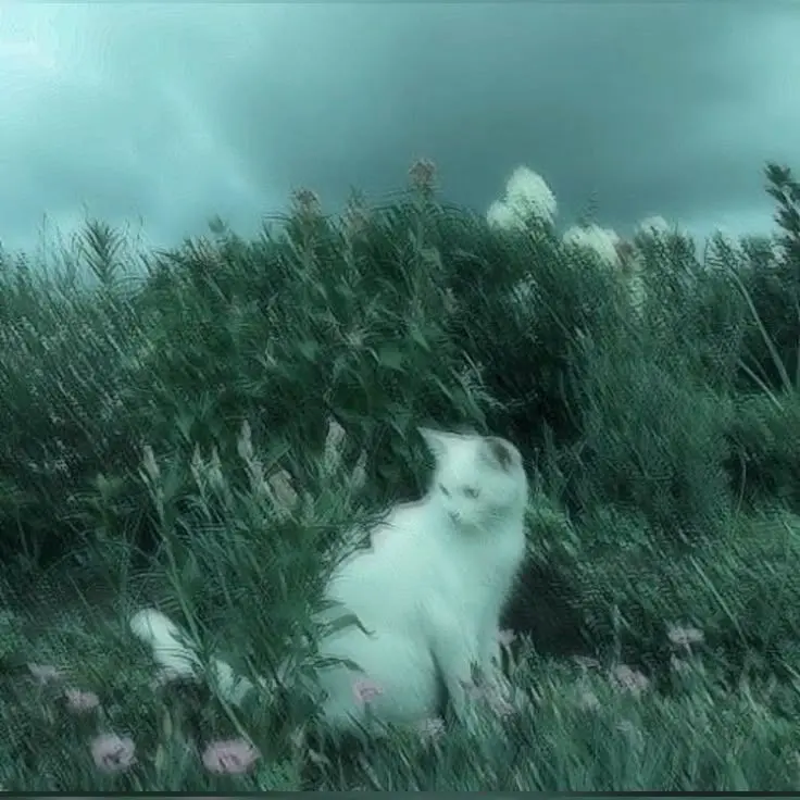 SmoothOribi3288의 개인용 OC 정신병동 AU