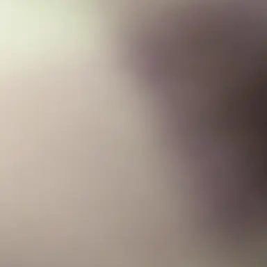 Profile image of 골드치즈