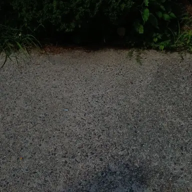 Profile image of 우여 린츠