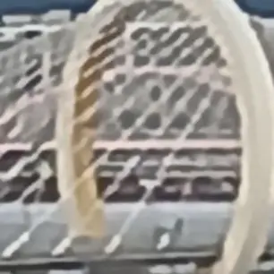 Profile image of 정백현