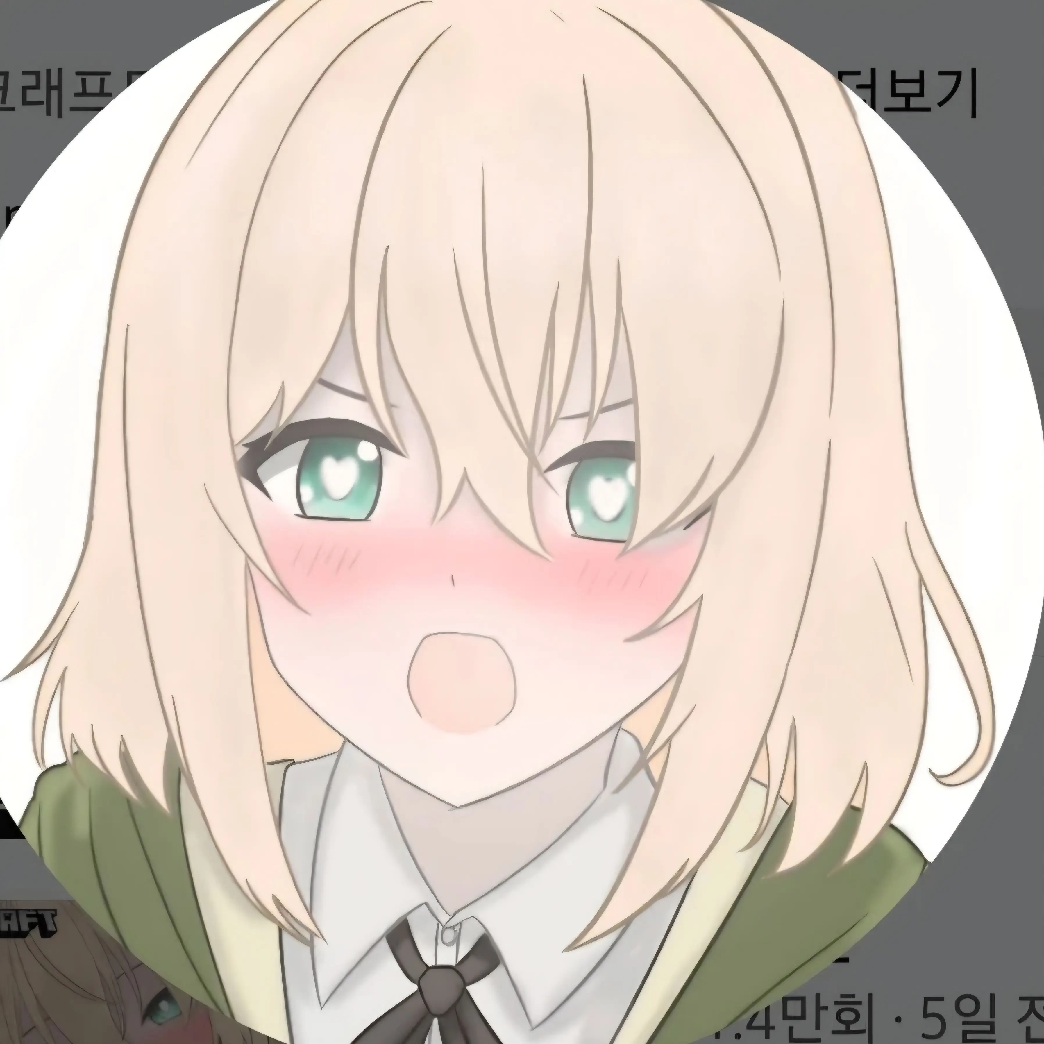 Havggsjsj의 미르쨩 하루