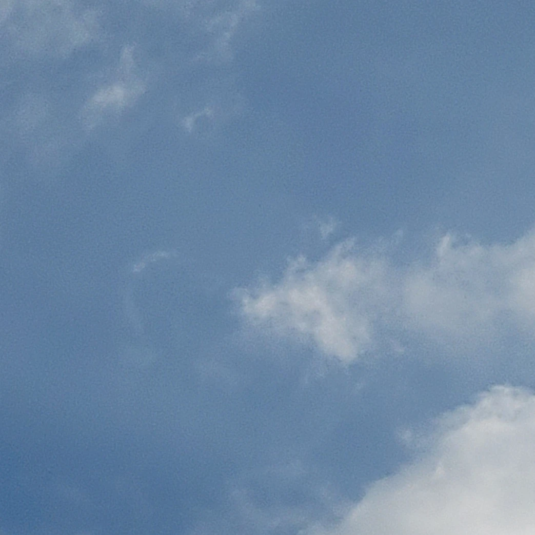 권지용