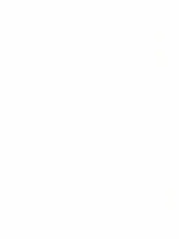 ExoticToken4342의 キヨ