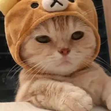 Profile image of 땅콩