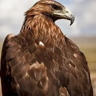 Profile image of 리암