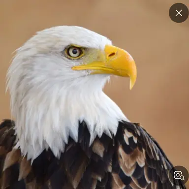 Profile image of 칸