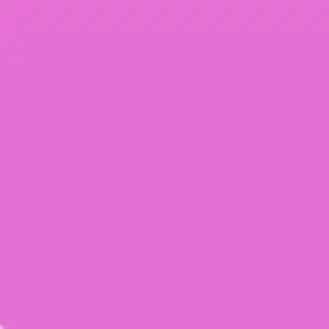 Profile image of ないこ