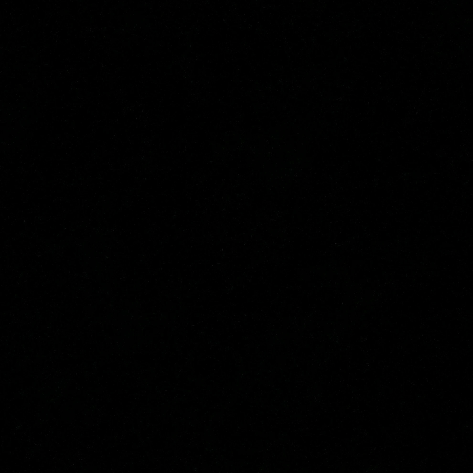 조우안신