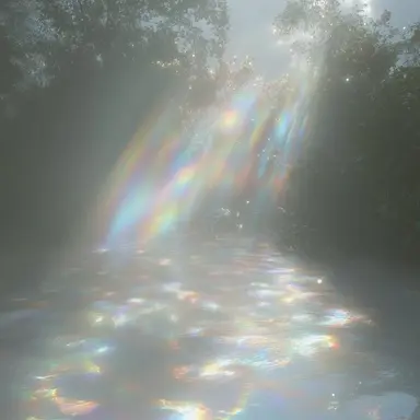 Profile image of 크레이