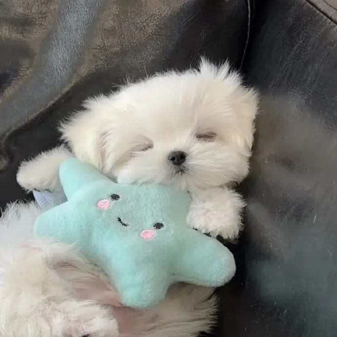1030g_의 오빠