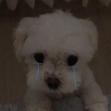 Profile image of 료