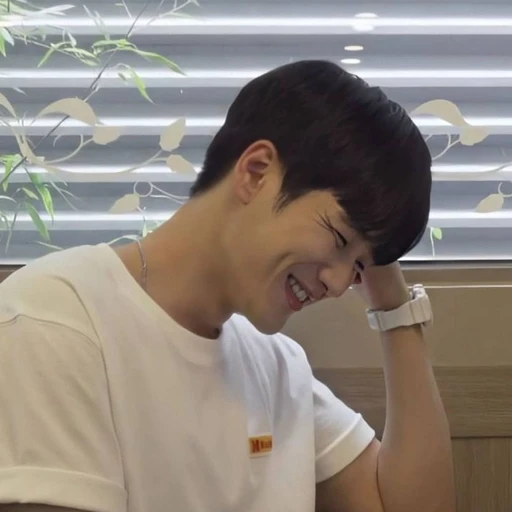 안보현