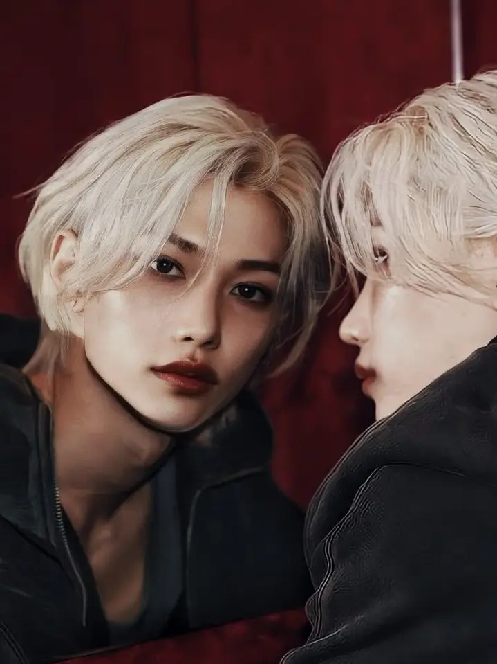 Funkyfroggy1636의 Stray kids- Vampire lab