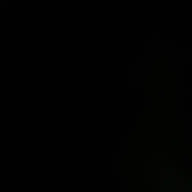 Profile image of K