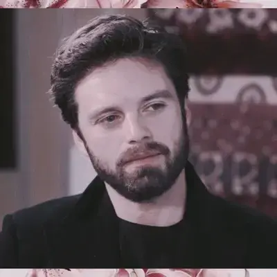 ModernElbow4037의 sebastian stan
