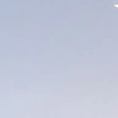 Profile image of 母