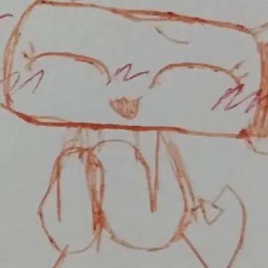 Profile image of 쉘리