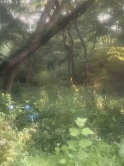 mmmr0120의 「私が正しい。！」