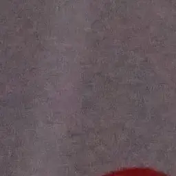 Profile image of 디버그