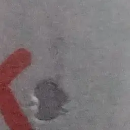 Profile image of 그리드