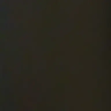 Profile image of 안신