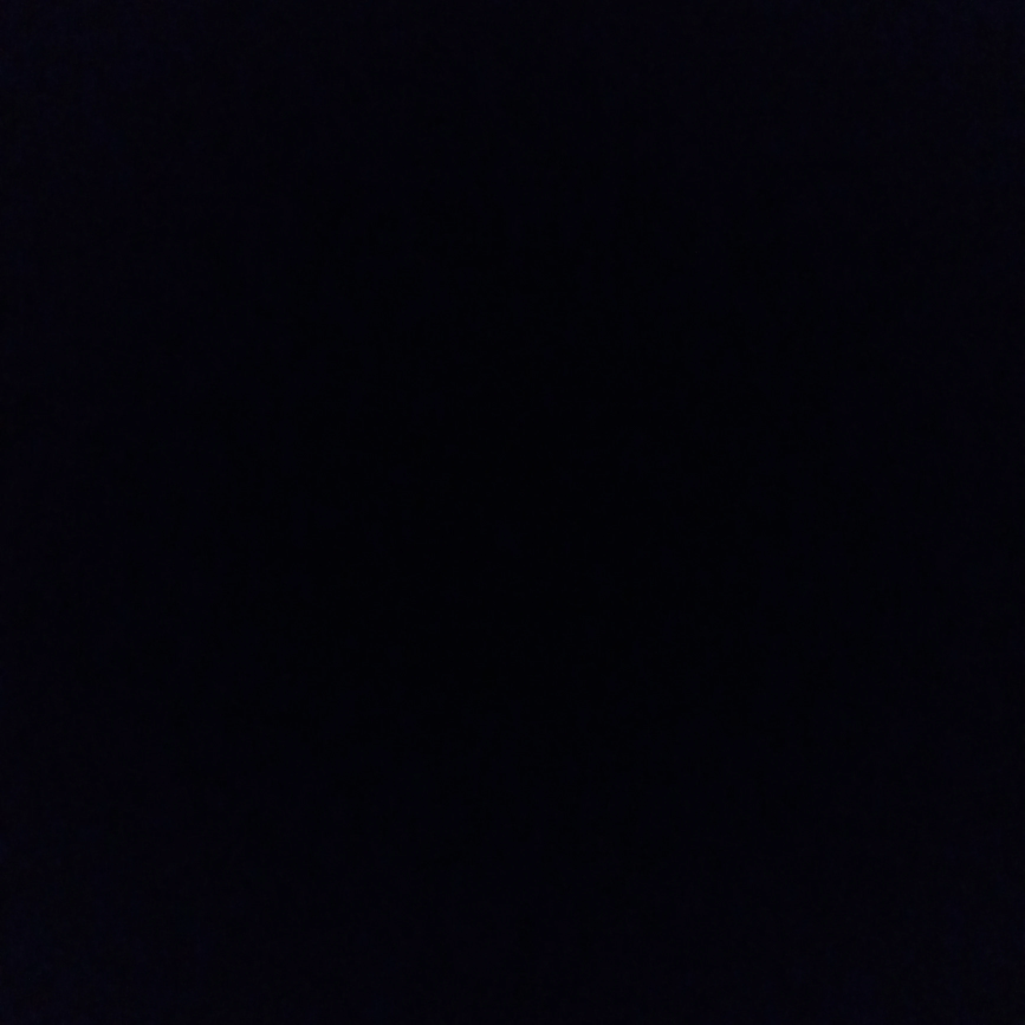 류정란