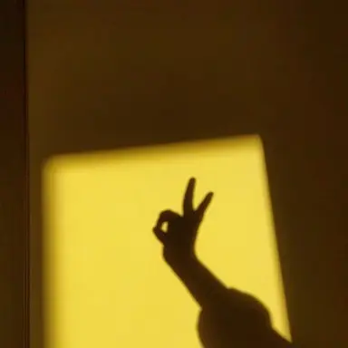 Profile image of 쪼만
