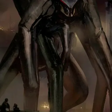 Profile image of 암컷 무토