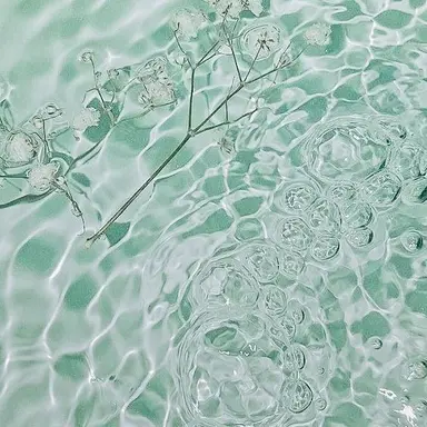 Profile image of 예엥