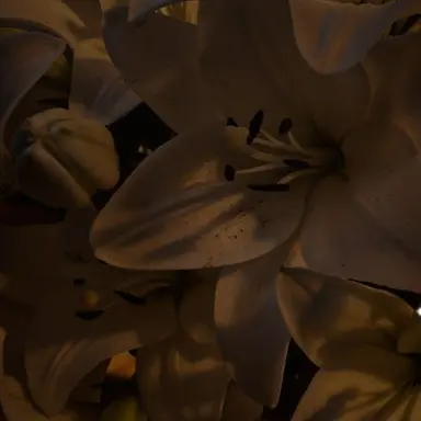 Profile image of 혜민