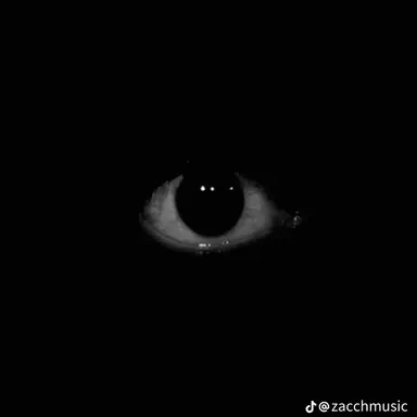 Profile image of 귀신들