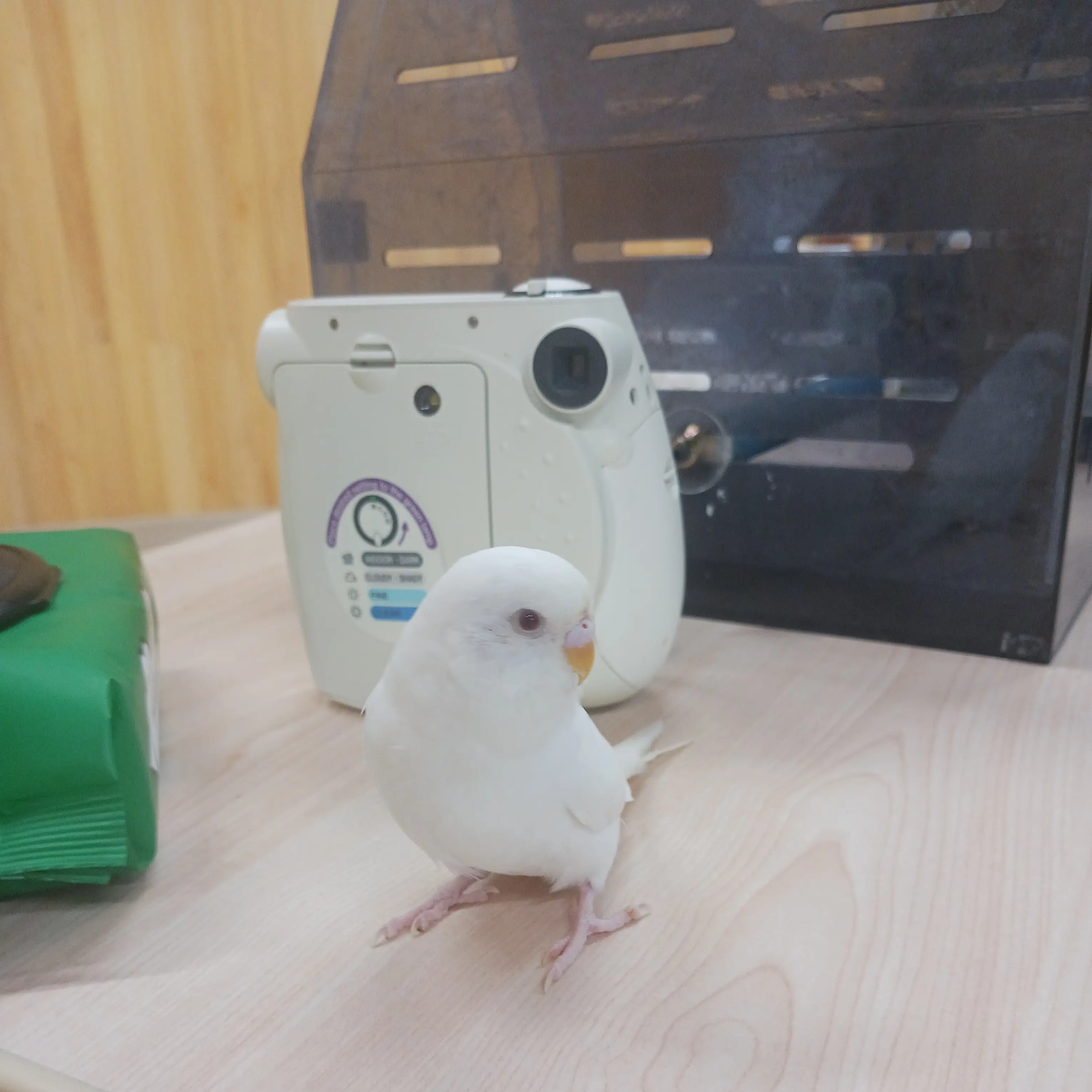 dayeongso의 안녕 난 세야