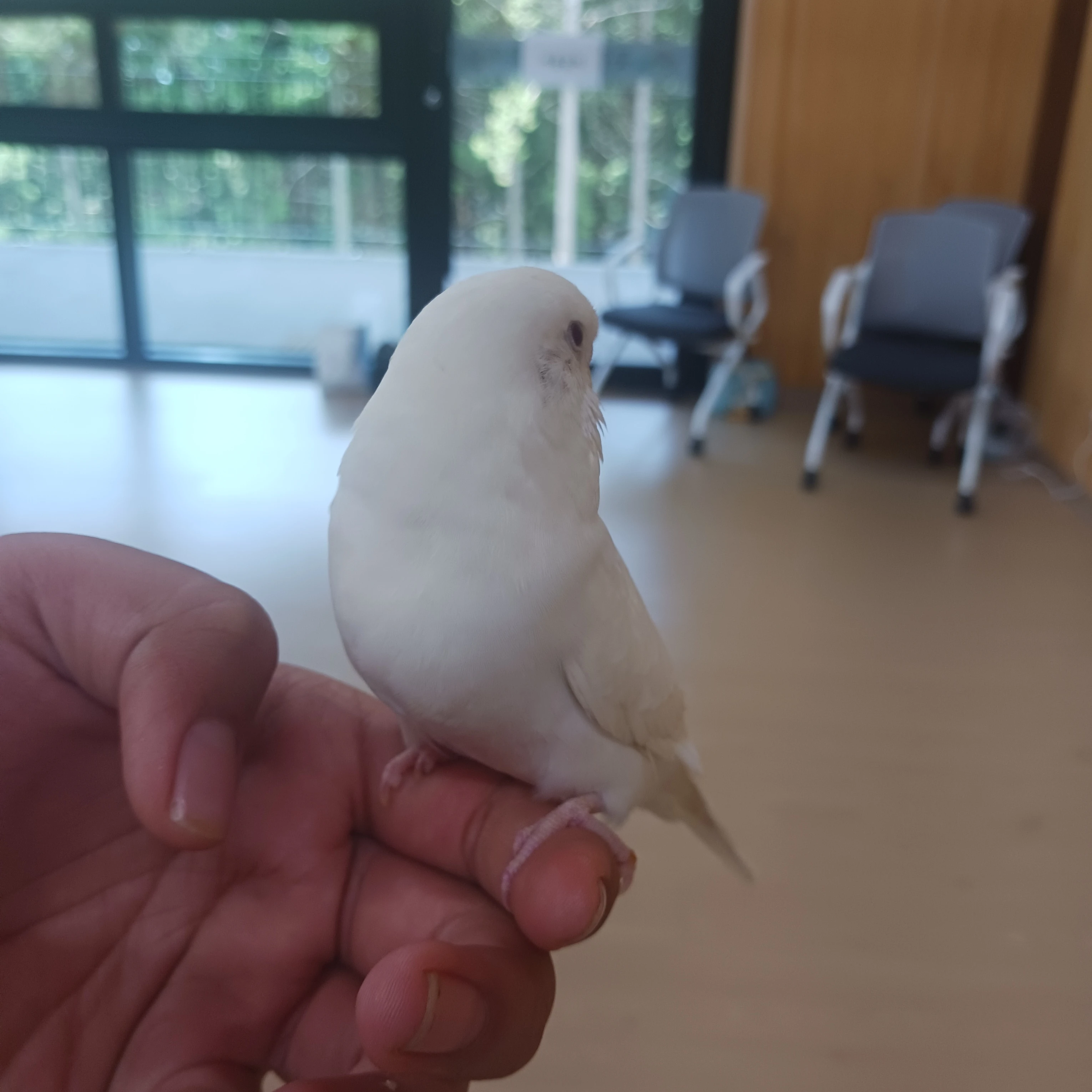 세소 세세 언니 3