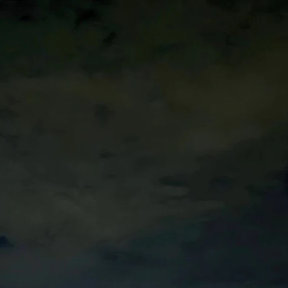 윤도운