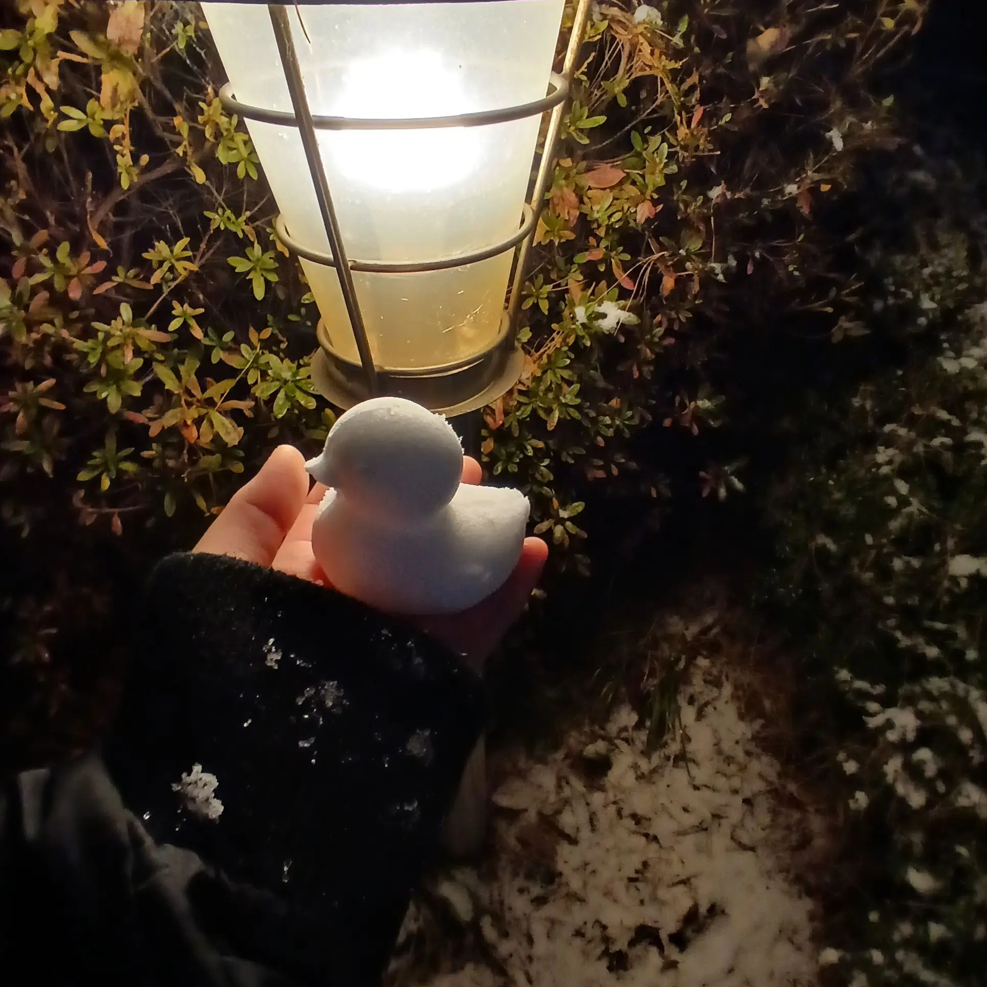 RERe0708의 팔로워 100달성 공지