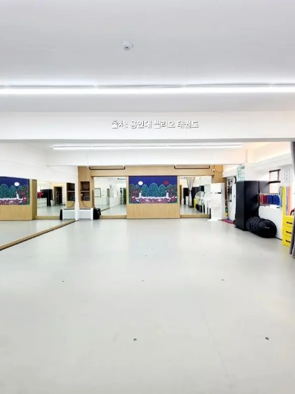 Yanggochi6464의 Deadly Monkey Taekwondo