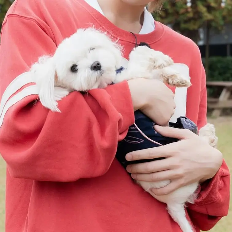 txt.bighitent_MOA의 최-범-규