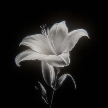 dopagakidesu의 大好き𝜗𝜚˚⋆