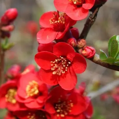 Profile image of 마이데이