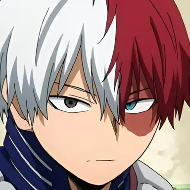 Profile image of Shoto Todoroki