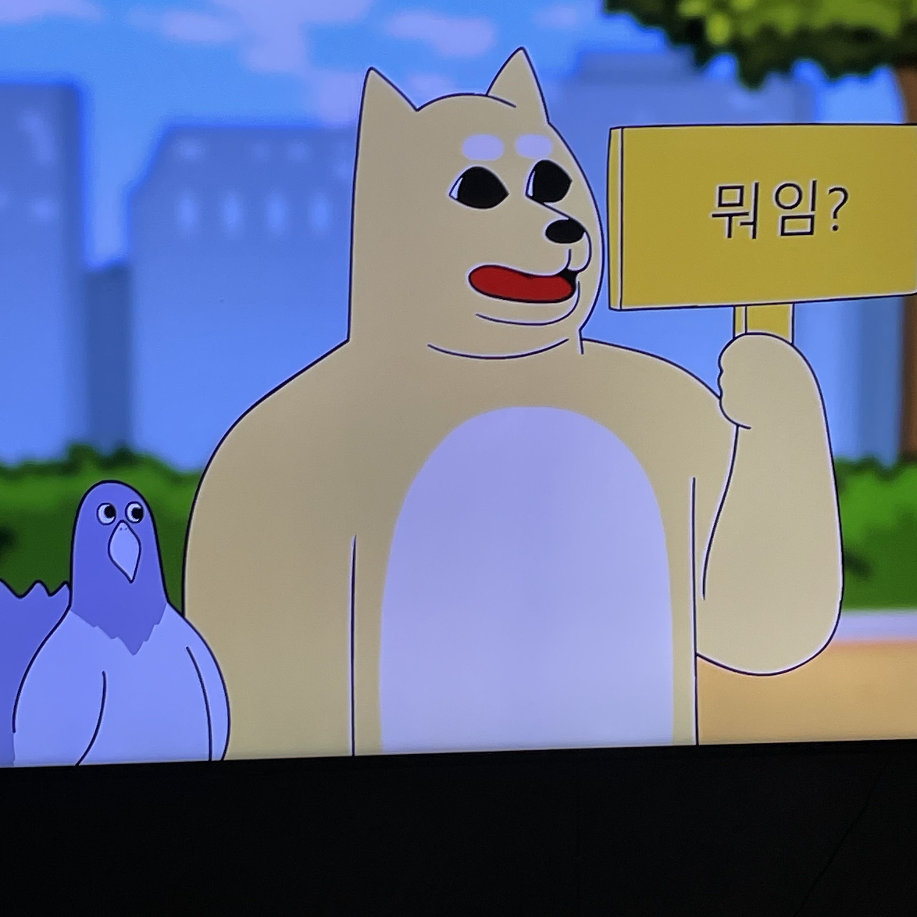 코카시아오브차카 대표 이미지