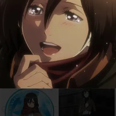 Profile image of ミカサ